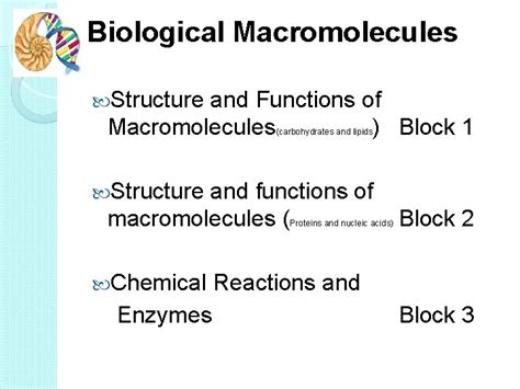 Image result for Macromolecules Building Blocks