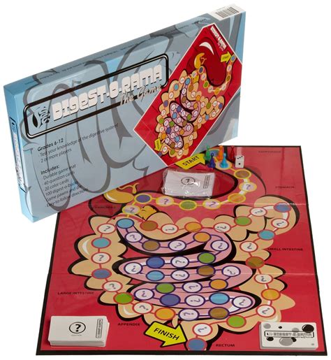 Digestive Body System Functions for Science Kids in Middle School ...