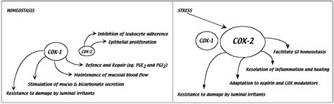 Molecular Thumbprints: Biological Signatures That Measure Loss of Identity