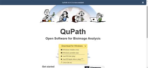Image result for QuPath Basics