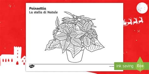 Poinsettia Colouring Worksheet / Worksheet English/Italian