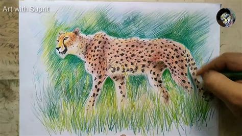 Cheetah Drawings In Pencil