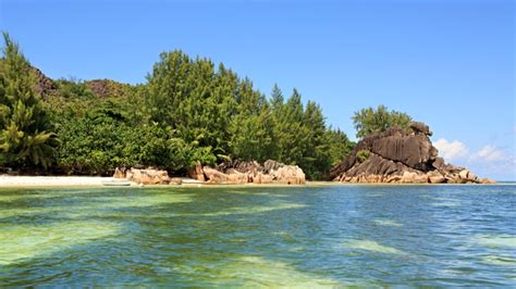 Sentinel Island:दुनिया से क्यों डरती है भारत के सेंटिनल द्वीप की रहस्यमयी जनजाति? जानिए आखिर ...