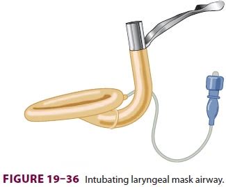 Image result for Patient Bad Example