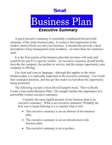 Business Plan Executive Summary Examples 的图像结果