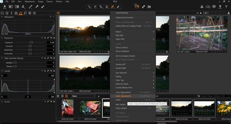 Image result for Capture One Express Tutorial