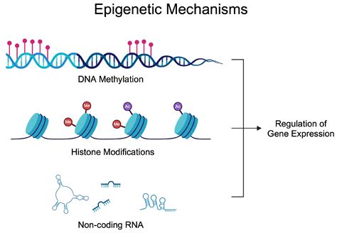 DNA and RNA Methylation in Rheumatoid Arthritis—A Narrative Review