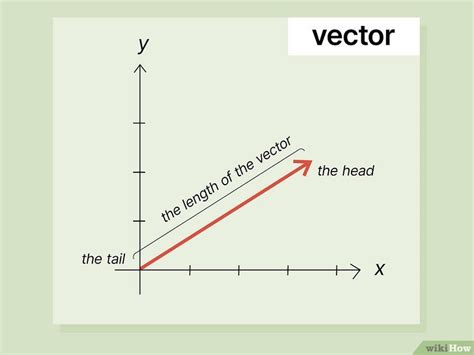 Unit Vector Calculation 的图像结果