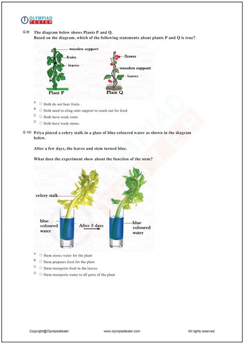 Image result for Class 2 Science Plant