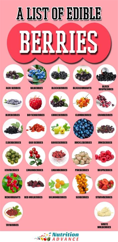 Names Berries for kids