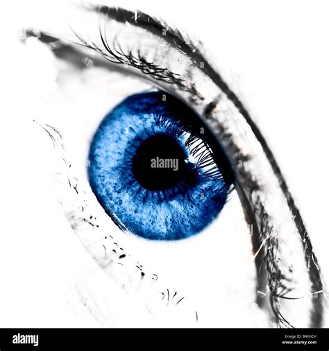 A PIERCING BLUE EYE Stock Photo - Alamy