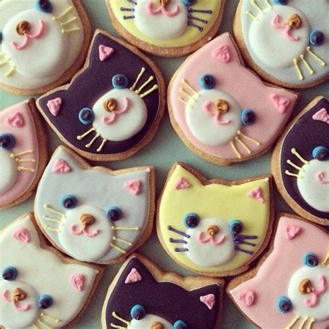 Image result for Cat Chasing Cookies