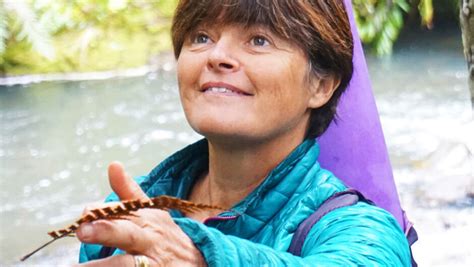 Private Forest Therapy Walk | Terra & Tide | Activity in Auckland, New ...