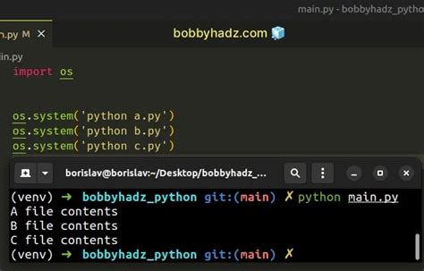 Execute Many Python 的图像结果