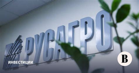 «Русагро» показала скромные результаты: чего ждать от акций - Ведомости