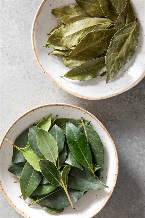 Bay Leaf Substitute - The Harvest Kitchen