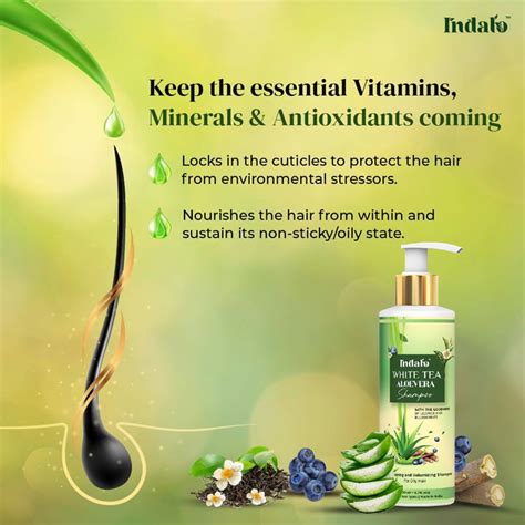 Indalo Natural White Tea Aloevera Shampoo for Oily Hair and Dandruff ...