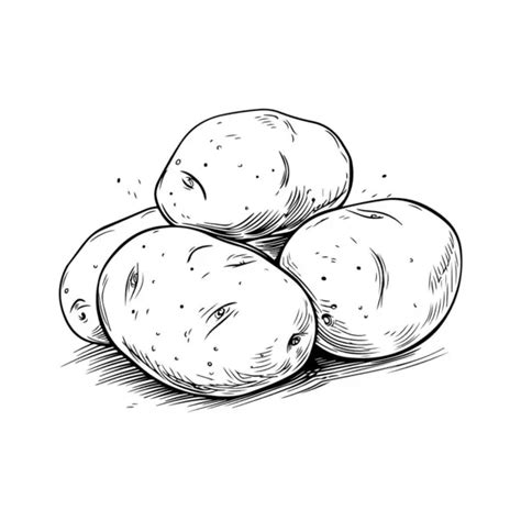 Image result for Potato Man Project Python Coding