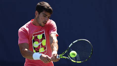 Alcaraz 的图像结果