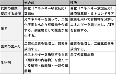 Learn OS Module Python From Beginning に対する画像結果