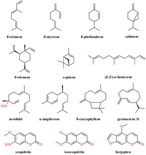 Ethnomedicinal, Phytochemical and Pharmacological Profile of Anthriscus ...