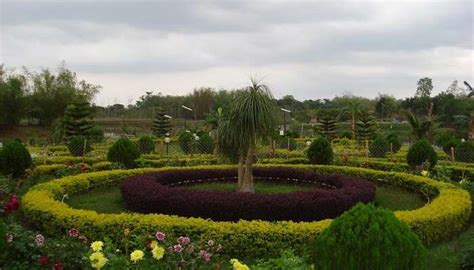 33 Best Places To Visit In Assam in 2026