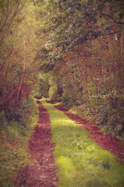 Road Path 的图像结果