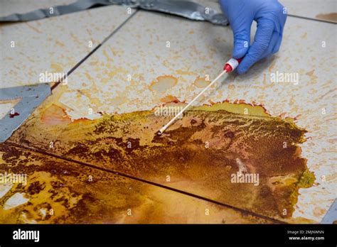 Forensic Science 的图像结果