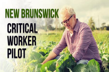 Image result for Critical Worker Pilot Program