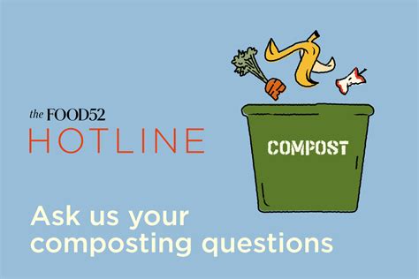 Image result for Composting Questions