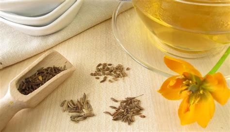 Effective Home Remedies To Treat Nausea in Children - lifeberrys.com