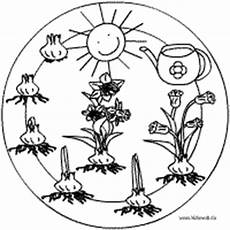 kinder malvorlagen narzisse pflanzen mandalas im kidsweb de kinder malvorlagen narzisse pflanzen mandalas im kidsweb de