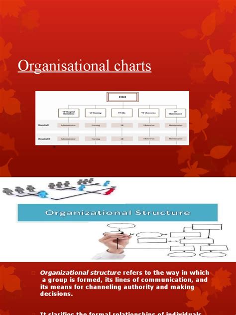 Organization Diagram 的图像结果