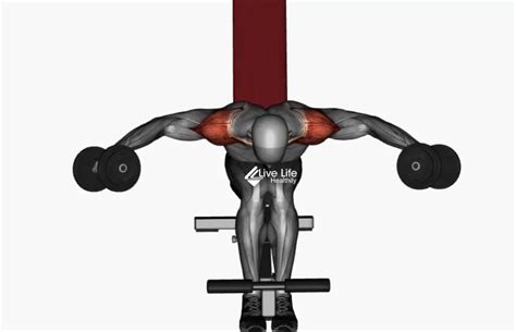 Image result for Reverse Fly Over FitBALL