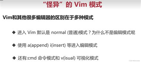 Simvim Tutorial 的图像结果