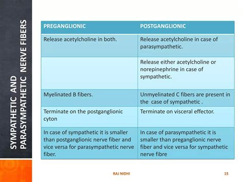 classification of nerve fibers | PPTX