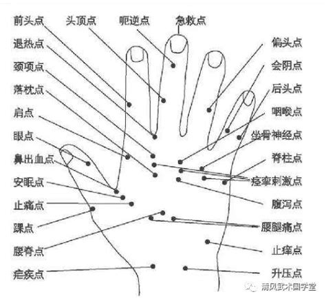 手掌与内脏器官对应图-图库-五毛网