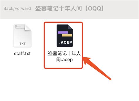 AceProject Tutorial 的图像结果