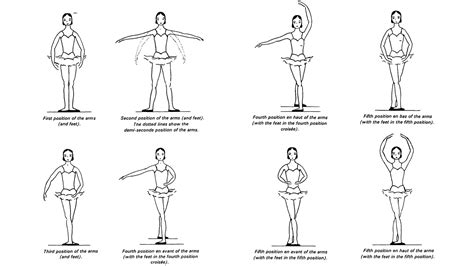 Ballet Moves With Pictures of Position Des Bras Cecchetti Method ...