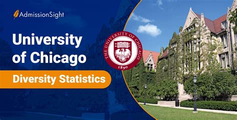 University of Chicago Diversity Statistics: An Overview | AdmissionSight