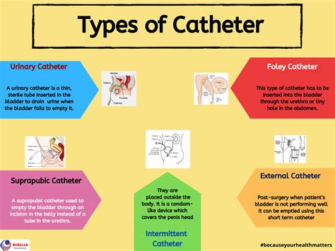 How To Insert Catheter In Female Patient at Victoria Haubrich blog
