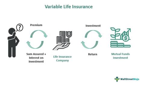 Variable Life Insurance Explained 的图像结果