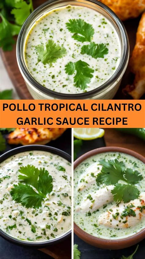 Pollo Tropical Cilantro Garlic Sauce Recipe - Yum Yarns | Recipe ...