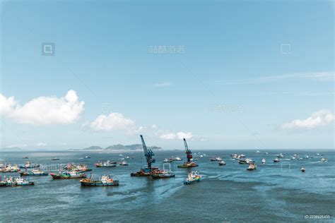 2021舟山“开渔节”登陆拼多多直播间，百亿补贴上线“第一网梭子蟹”_杭州网