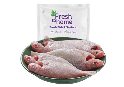 FreshToHome Pink Perch/Kilimeen/Sankara Meen (Large) | Whole Cleaned ...