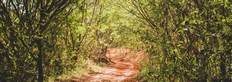 McAdams Mortuary | Paoli IN funeral home and cremation