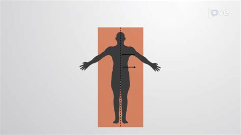 Anatomical Movements Sports Science Degree Physical