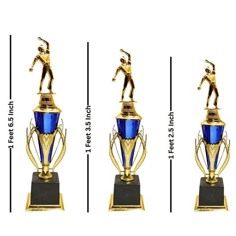 TM TM233 Cricket Sports Trophy (Set of 3 Trophies) – Sportswing.in