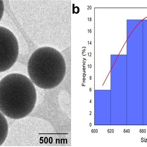SiO2 Particles 的图像结果