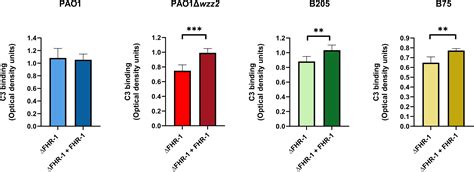 Frontiers | Factor H-related protein 1 promotes complement-mediated ...